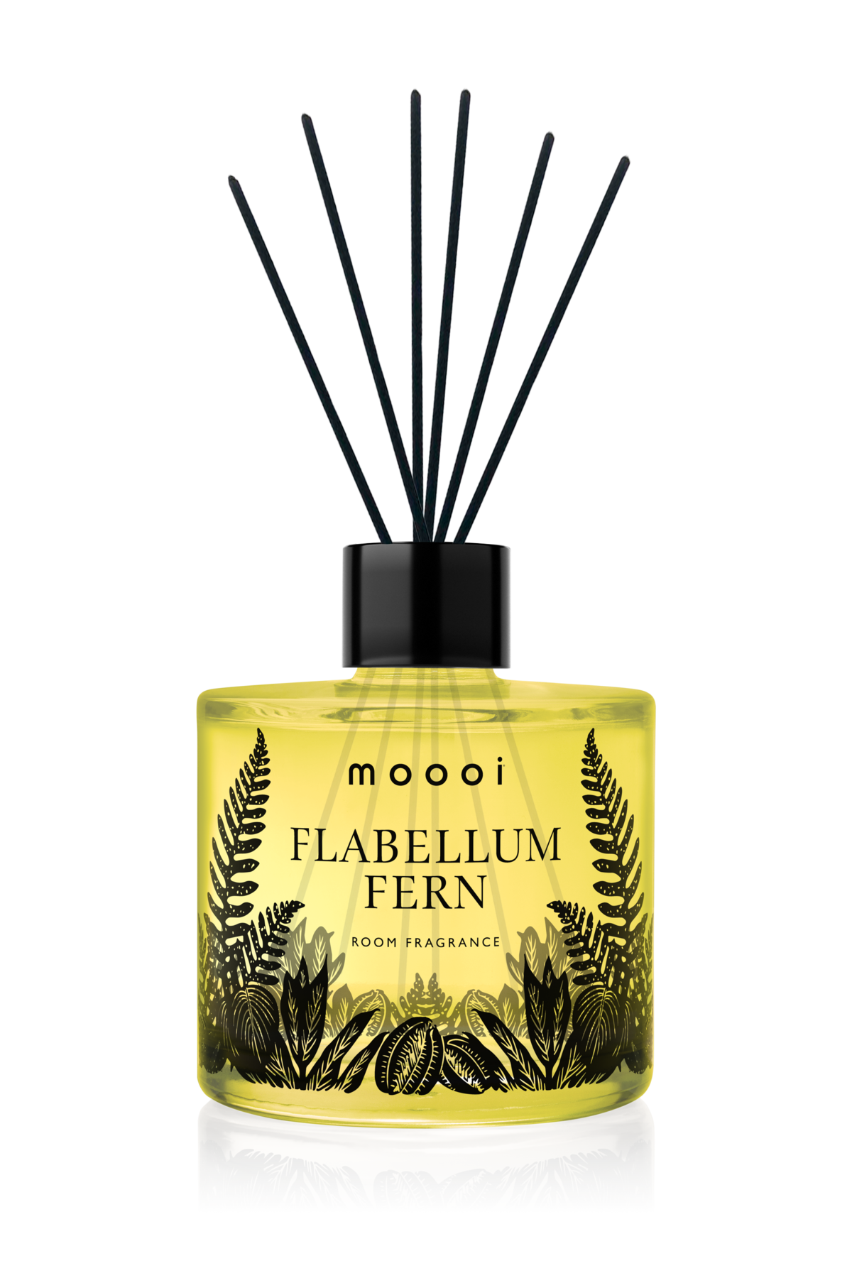 Home fragrance Flabellum Fern bottle with reed diffuser